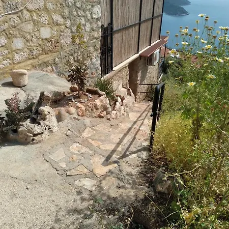 Eagle Nest Daire *